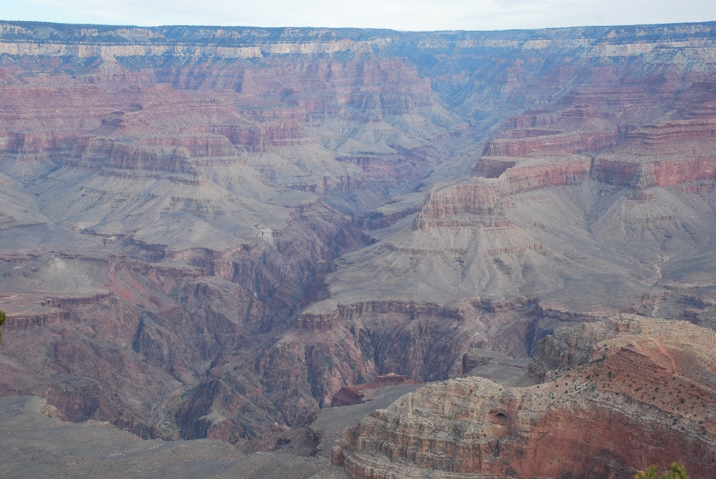 DSC_1591.JPG